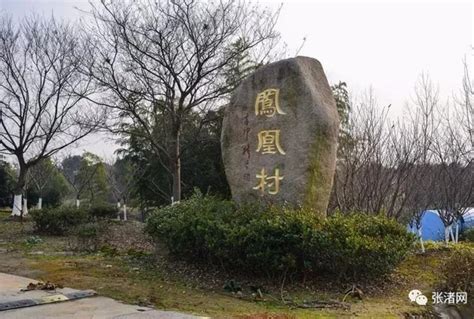 这里的乡村美的有特色 宜兴张渚镇创成7个江苏省特色田园乡村__财经头条