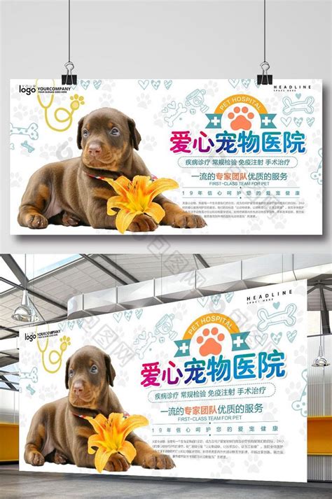宠物医疗海报_海报设计_设计模板_宠物医疗海报模板_摄图网模板下载