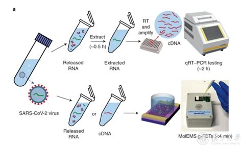 【快讯】Gene π 实战课堂——数字PCR分子诊断方法建立和验证在上海成功举办！-快讯-转化医学网-转化医学核心门户