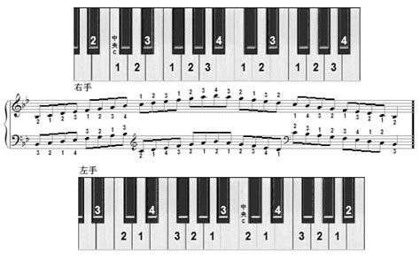 升降调琴键示意图,钢琴升调和降调位置图,电子钢琴琴键示意图(第3页)_大山谷图库