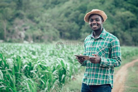 非洲农民男子带着微笑和快乐在有机农场持有石板农业或种高清图片下载-正版图片506531443-摄图网