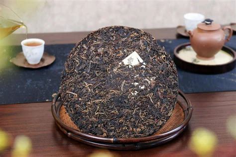 茶叶，中国的普洱茶分为哪几种，各有什么特点 - 知乎