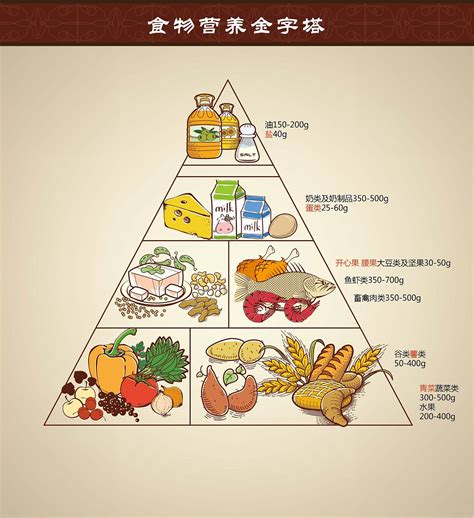 食物营养金字塔|插画|插画习作|mompig - 原创作品 - 站酷 (ZCOOL)