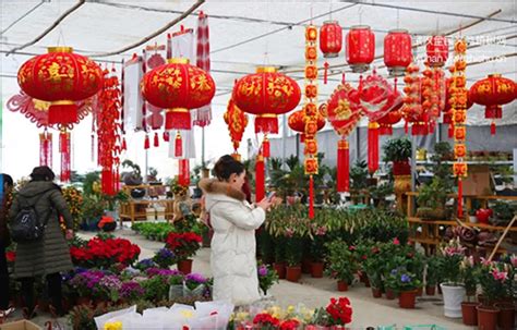 花鸟市场|在武汉 这份逛花指南必不可少！