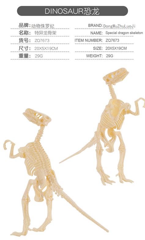 DIY拼装化石霸王龙翼龙骨架玩具 跨境儿童仿真考古恐龙骨架模型-阿里巴巴