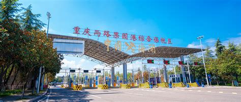 重庆保税港区开发管理集团有限公司