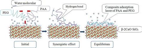 Study of synergistic effect mechanism of compound polymer inhibitors ...