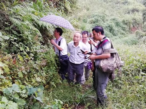 池州市碳酸锰矿资源调查评价项目顺利通过野外验收-安徽省地质矿产勘查局311地质队