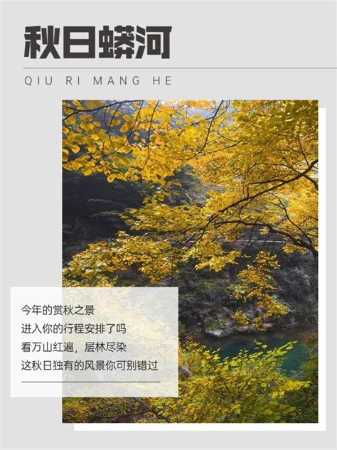 内蒙古额济纳旗胡杨林层林尽染 演绎粗犷与细腻之美-天气图集-中国天气网