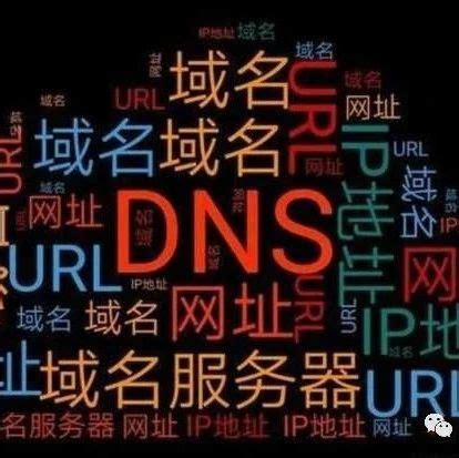 一文看懂：网址，URL，域名，IP地址，DNS，域名解析_域名网址url之间的区别-CSDN博客