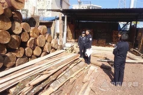 云南大姚对木材经营加工场所开展专项检查-中国木业网