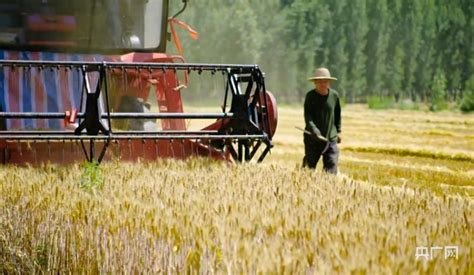 夏收现场丨全国麦收过八成 夏种压茬推进