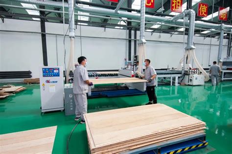 木材交易市场重点企业座谈会在江苏靖江成功召开-木业网