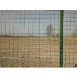 果园围网多少钱一卷-绥化果园围网-绿色铁丝网围栏(多图)_金属板网_第一枪