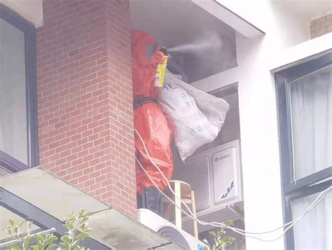 小区窗边发现超大马蜂窝 消防员到场清除还居民安全_杭州网