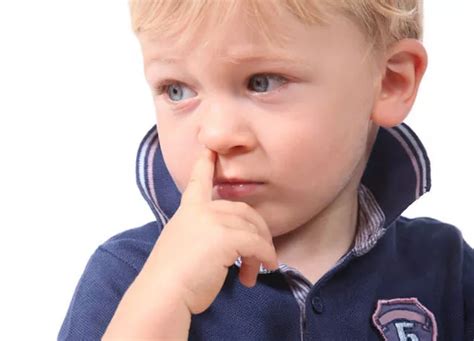 8岁男童抠鼻屎将细菌送进大脑，坏习惯险送人命，口鼻三角碰不得 - 知乎