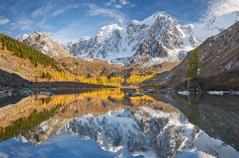 明亮的黄色秋天山湖俄罗斯西伯利亚阿尔泰山高清图片下载-正版图片505534692-摄图网