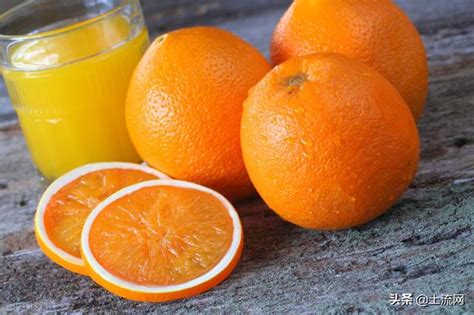 【橙子】【图】橙子上火吗 这么吃让你清热解渴_伊秀美食|yxlady.com