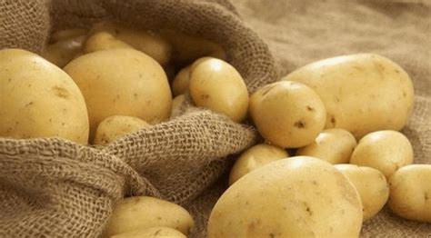 土豆什么时候传入中国 - 运富春