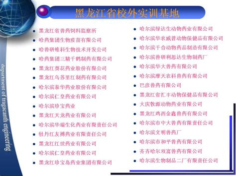2021年黑龙江省职业院校技能大赛（高职组）“软件测试”赛项在我校成功举办-信息工程学院