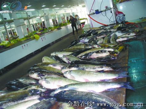 菜市场鱼档图片,市场鱼档图片,菜市场卖鱼图片(第7页)_大山谷图库