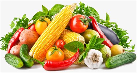 水果蔬菜超市加盟费用多少钱_水果蔬菜超市加盟条件_电话-全职加盟网国际站
