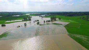 洪灾之后农田如何“重生”—新闻—科学网