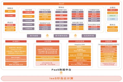 珍岛集团：如何实现品牌数字化升级？_厂商动态-中关村在线