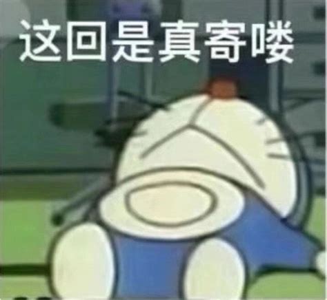 带我求带表情包图片