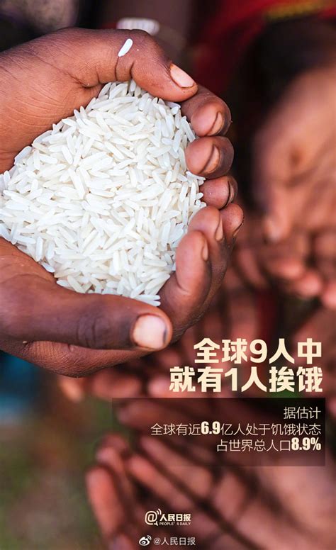 深度分析！十张图了解2021年中国粮食安全问题：多因素影响我国粮食安全_行业研究报告 - 前瞻网