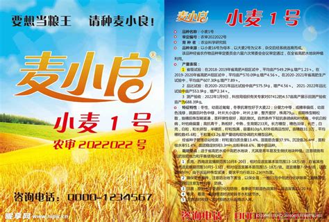 小麦宣传海报图片_海报_编号7625003_红动中国