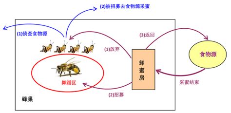 蜜蜂与远雷图册_360百科