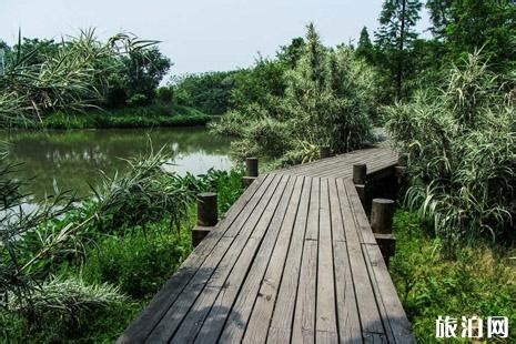 2021西溪国家湿地公园-旅游攻略-门票-地址-问答-游记点评，杭州旅游旅游景点推荐-去哪儿攻略