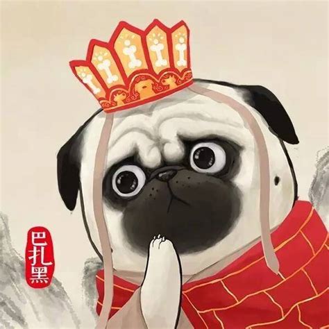 雪狗巴扎黑图片