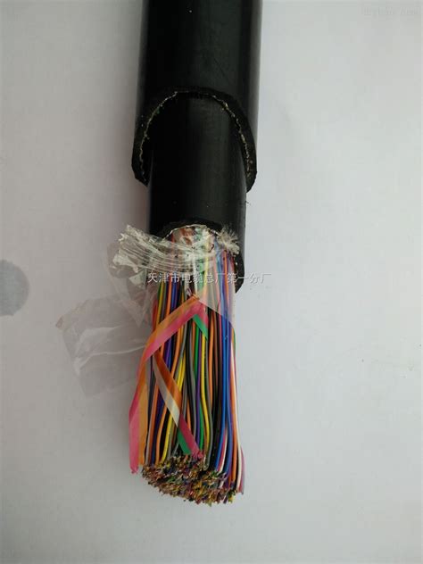 KVVP2铜芯屏蔽控制电缆-天津市电缆总厂第一分厂