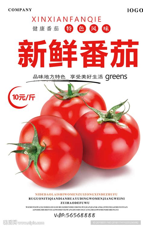 手绘番茄果蔬海报图片_餐饮美食设计图片_10张设计图片_红动中国