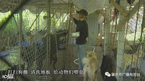 北京流浪动物救助者李林：“让它们都有一个家”__财经头条