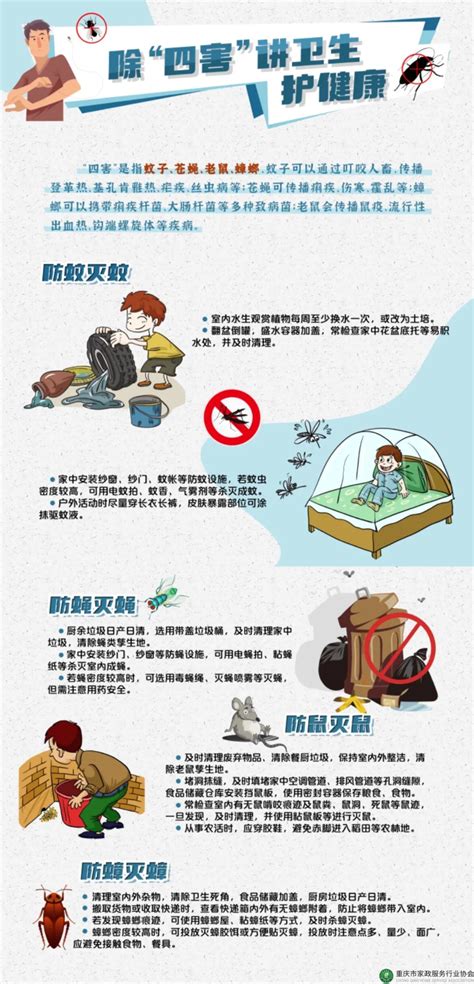 防制“四害”传播疾病的关键时期，夏季怎样灭“四害”？ - 重庆市家政服务行业协会