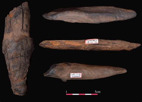 云南出土大量旧石器时代遗物 含世界最早木制品——人民政协网