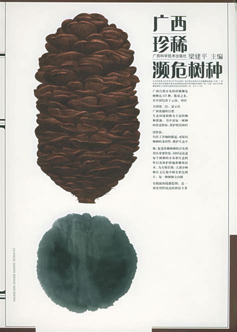 吉林长白山珍稀树种长白松高清图片下载_红动中国