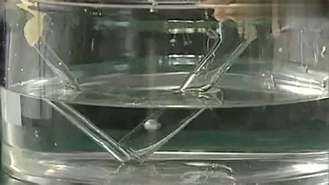 乙醇和水对比和钠的反应_腾讯视频