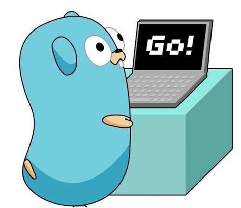 go语言基础入门教程：Go语言logo和版本_go语言logo和版本 csdn-CSDN博客