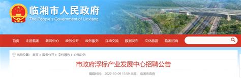 2022年湖南省岳阳市临湘市政府浮标产业发展中心招聘公告