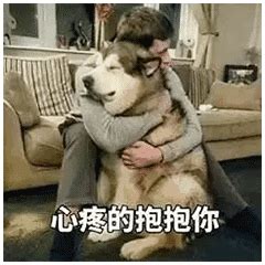 抱抱你表情包图片