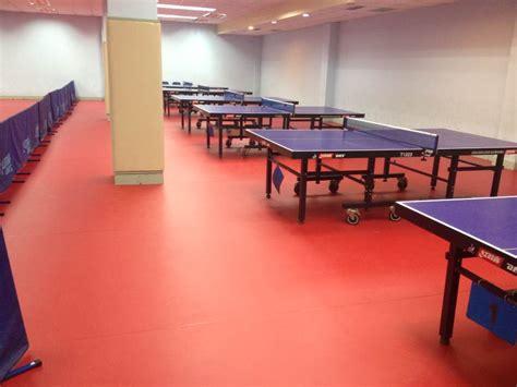 乒乓球塑胶地板、运动地板 - 塑胶地板_拼装地板_运动地板_亚麻地板_木地板翻新