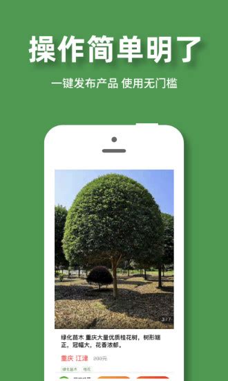 盆景苗木网上交易平台有哪些-致富经-中国花木网