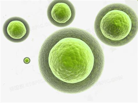 生物结构图图片