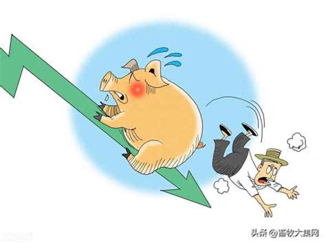 量价双降 生猪养殖“磨底期”何时结束 - 产经分析 - 中国产业经济信息网