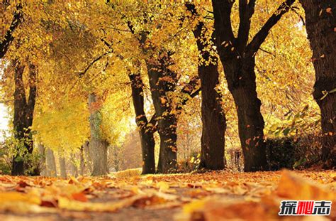 心理测试：下面哪一张照片最有秋天的气氛？测试一下你有多善感？__财经头条