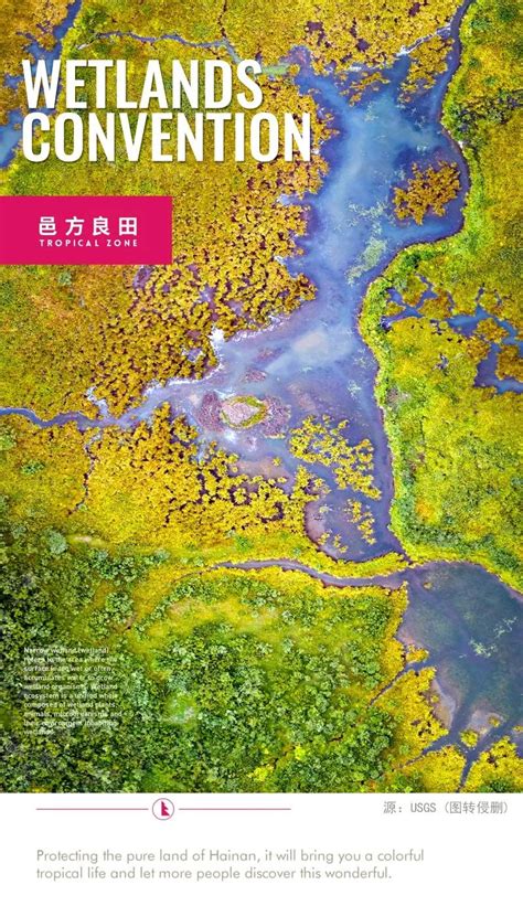 【百科】《湿地公约》：国际之约，人与自然之约 - 湖北日报新闻客户端